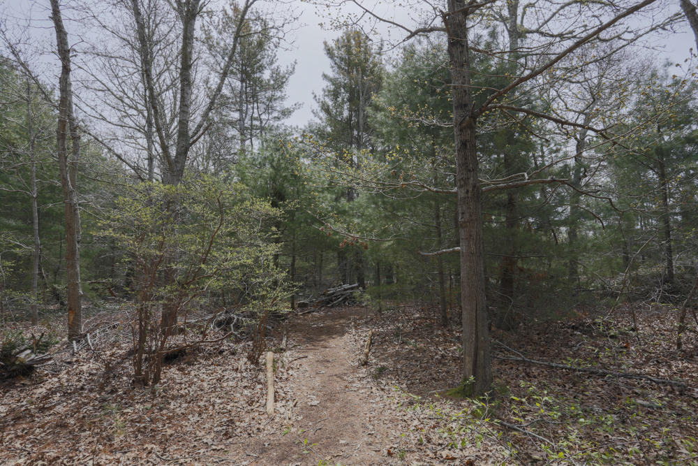 92 Old North Road Brewster, MA 02631 - Photo 12 of 13 180506_00111_ VT