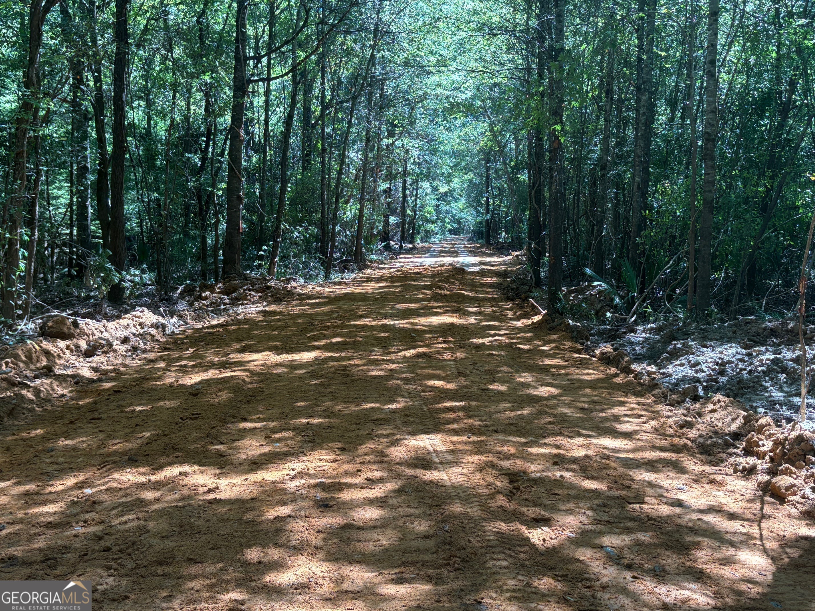 0 Sandy Creek Road Irwinton, GA 31042 - Photo 27 of 31