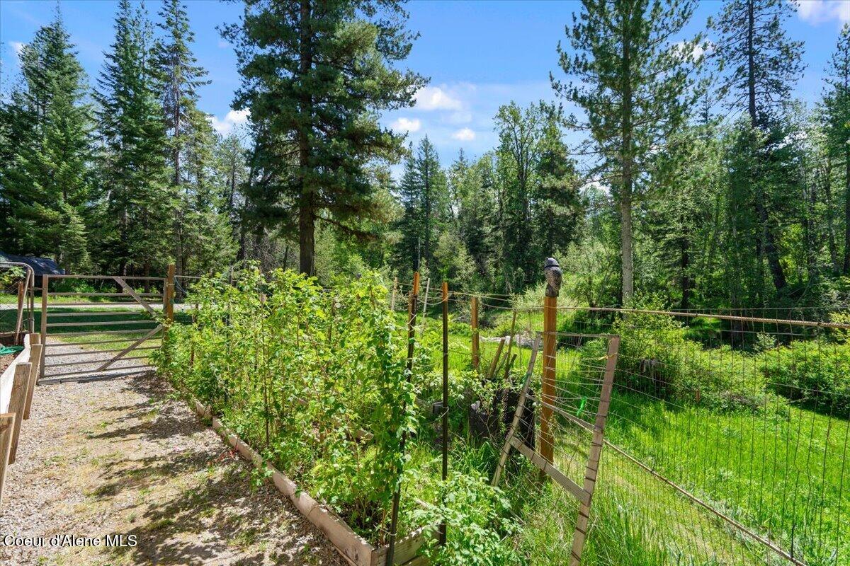 594 Hidden Valley Road Sandpoint, ID 83864 - Photo 25 of 44 061-Garden