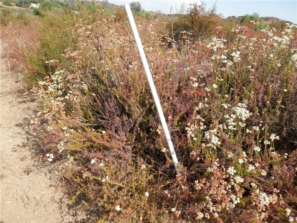 0 Olive Wildomar, CA 92584 - Photo 2 of 12 lot