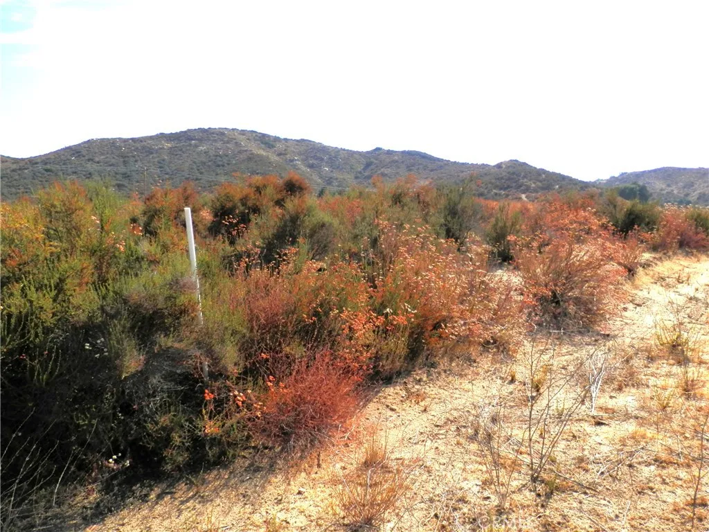 0 Olive Wildomar, CA 92584 - Photo 5 of 12 lot