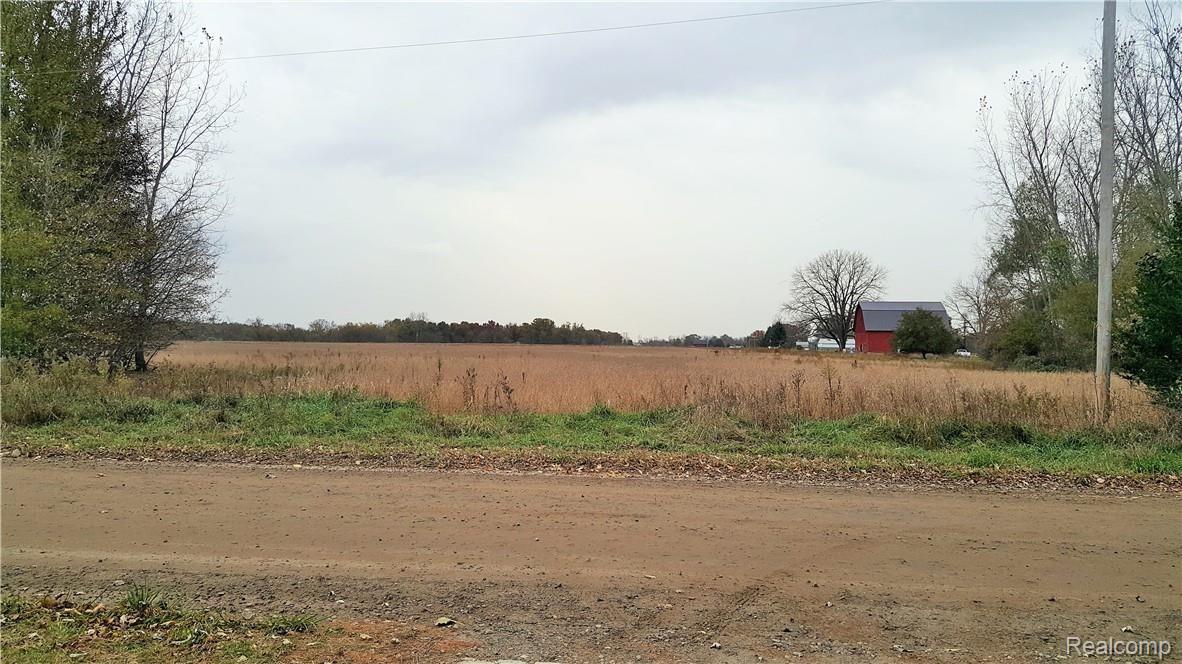 3668 Gannon Road Fowlerville, MI 48836 - Photo 3 of 29 Views from the front