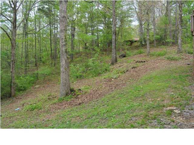 177 Jacobs Road Ringgold, GA 30736 - Photo 8 of 11 Additional Photo