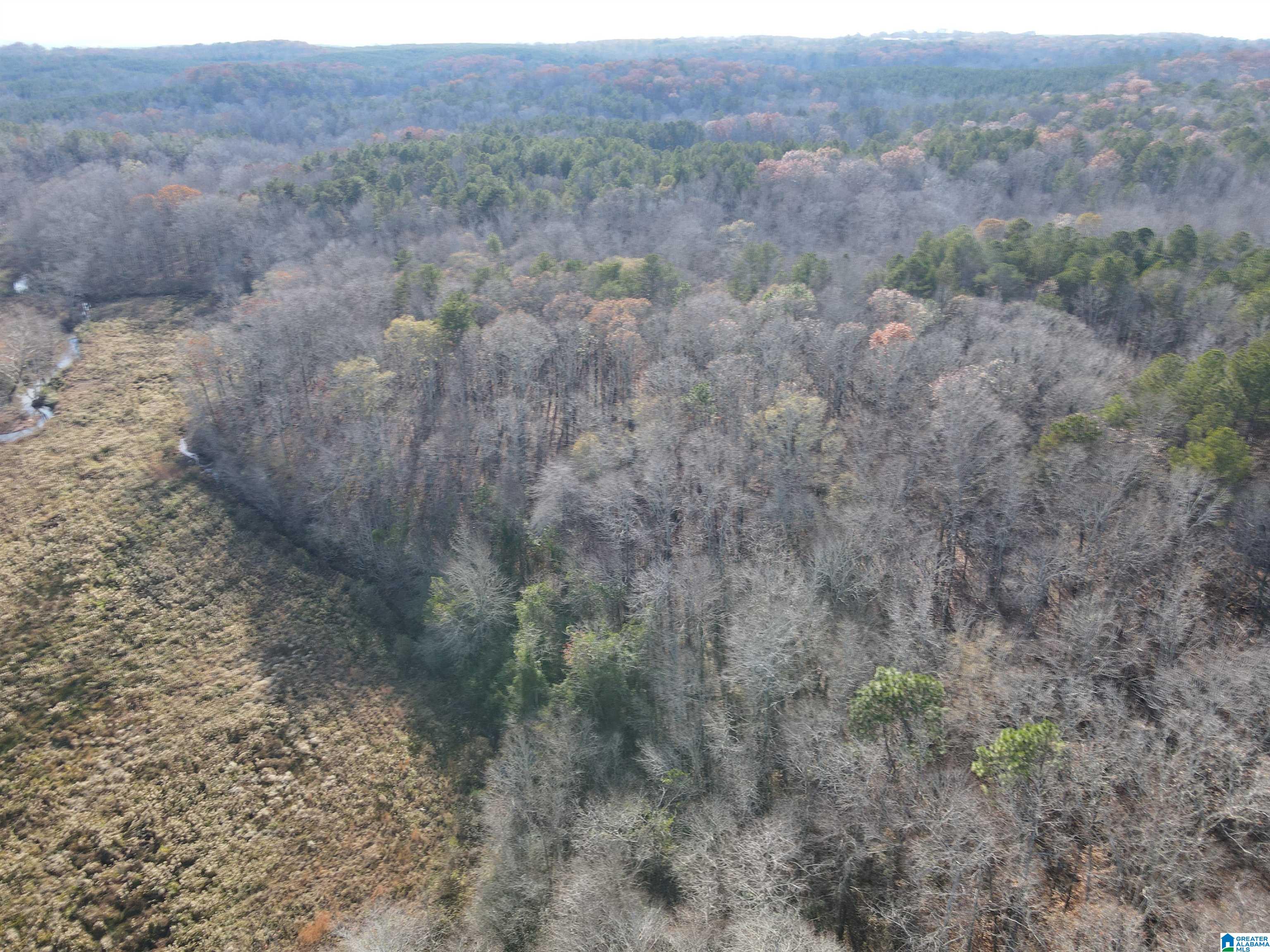 0 County Road 208 Heflin, AL 36264 - Photo 8 of 10