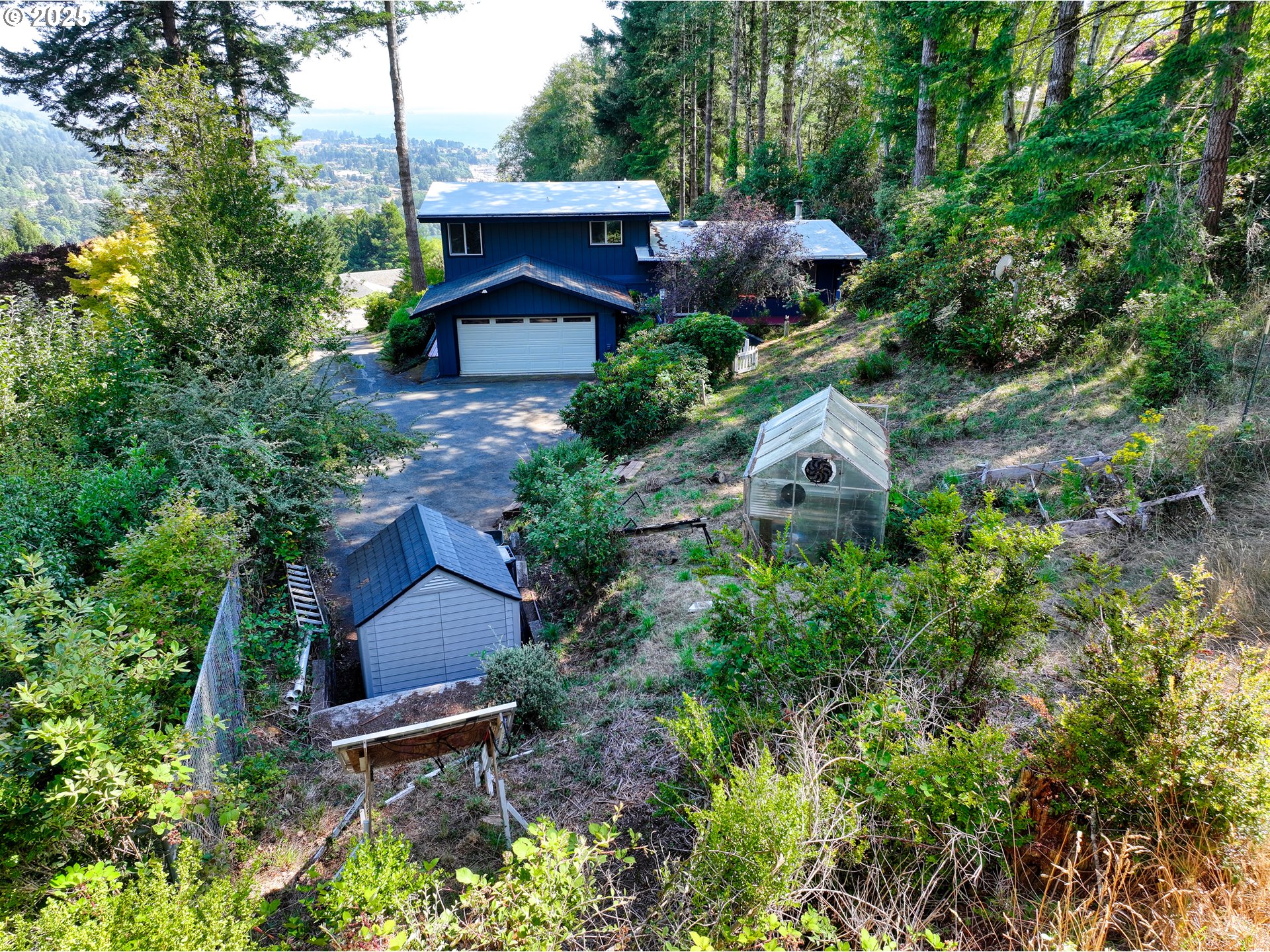 an aerial view of a house with a yard and large trees