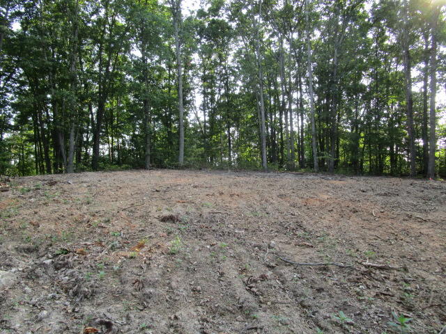 6658 Ridgeview Road Knoxville, TN 37918 - Photo 4 of 9 IMG_0821