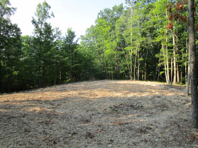 6658 Ridgeview Road Knoxville, TN 37918 - Photo 5 of 9 IMG_0820