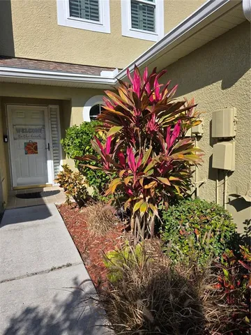 a potted plant sitting in front of a house