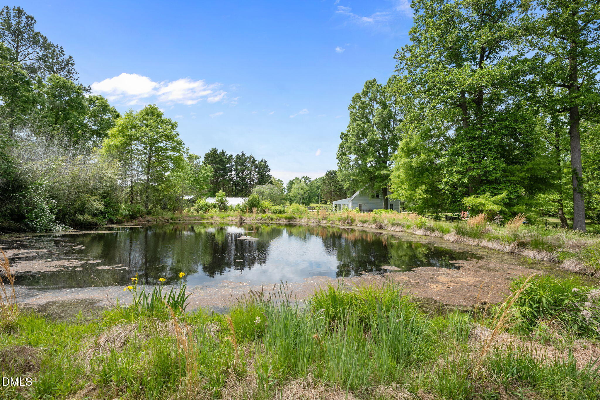 8718 Moody Road Liberty, NC 27298 - Photo 39 of 52 39-web-or-mls-_2006854