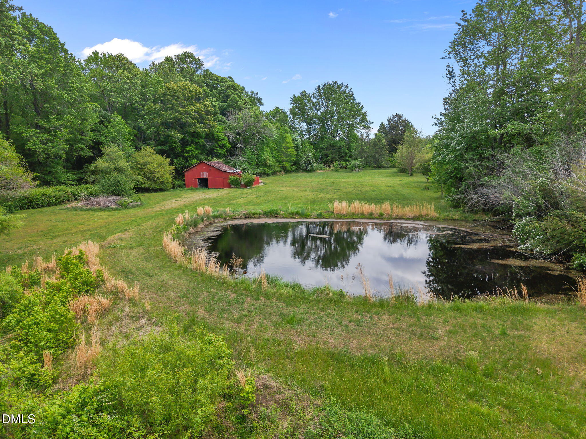 8718 Moody Road Liberty, NC 27298 - Photo 52 of 52 a view of a lake with a yard and large trees