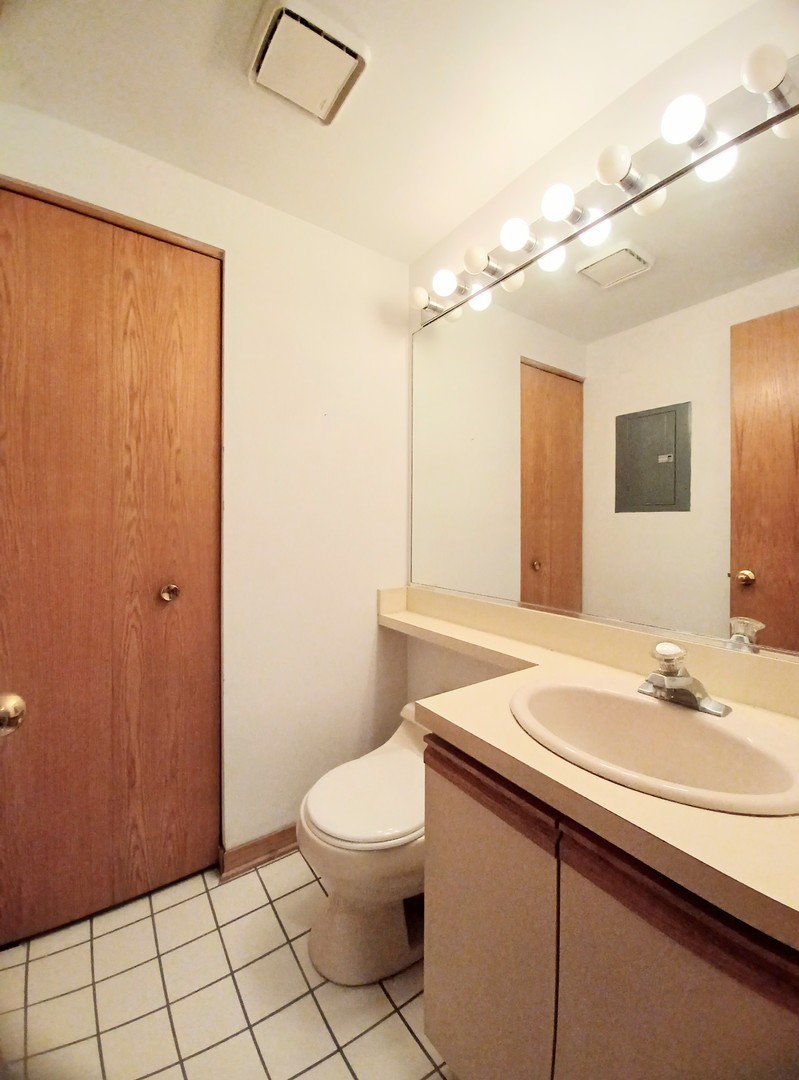 727 South Ashland Avenue, Unit D Chicago, IL 60607 - Photo 11 of 32 a bathroom with a sink a toilet and mirror