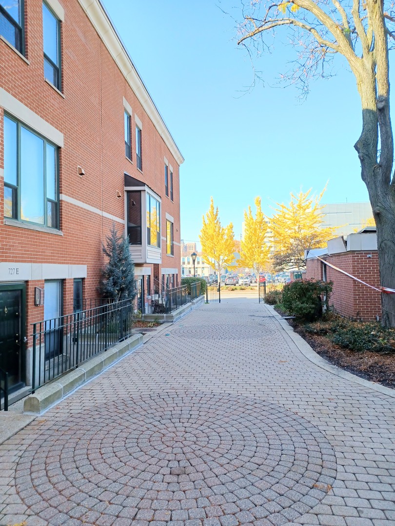 727 South Ashland Avenue, Unit D Chicago, IL 60607 - Photo 2 of 32 a view of a building with a yard