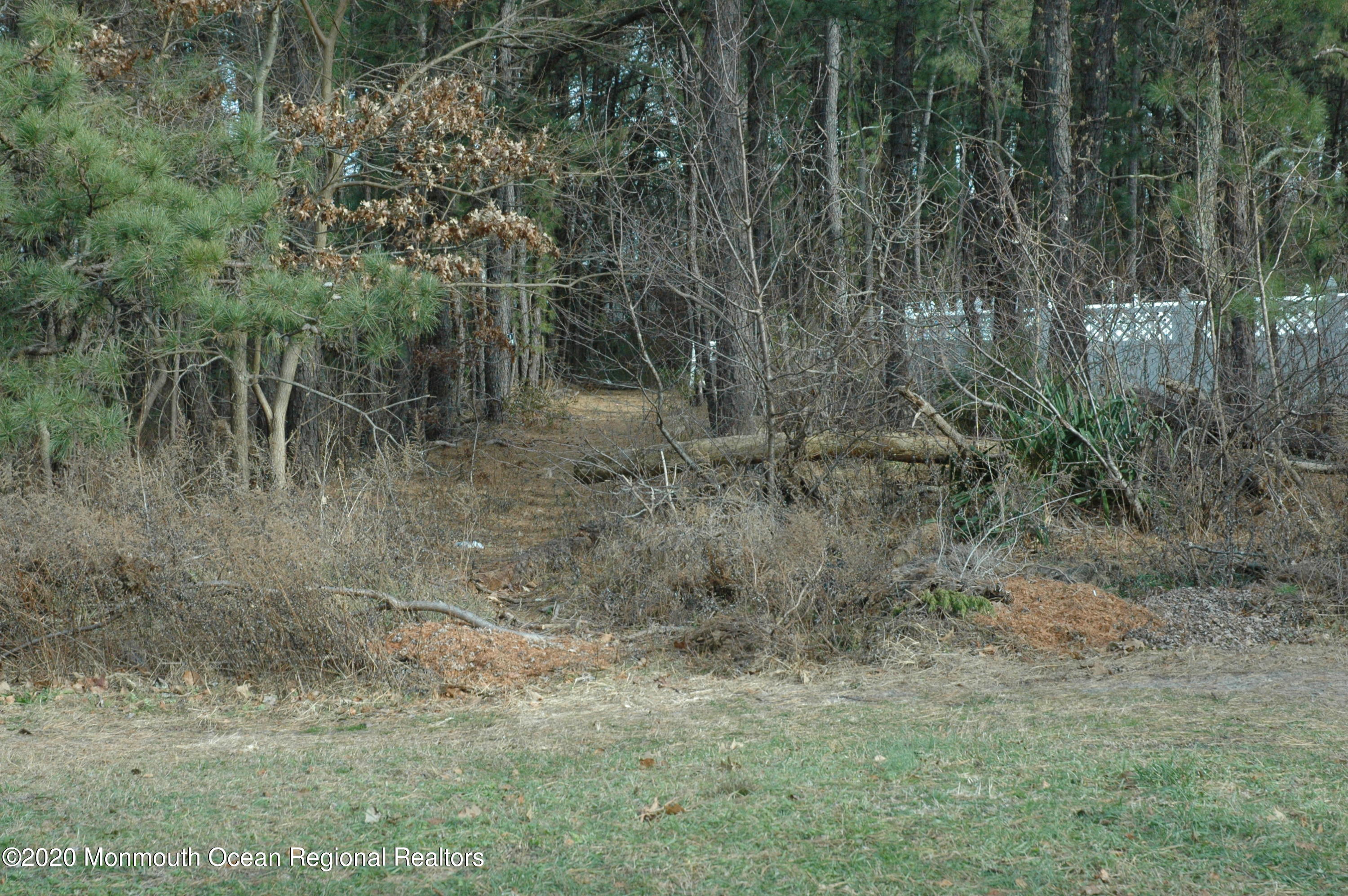 0 E Street Brick, NJ 08723 - Photo 2 of 4 DSC_9258