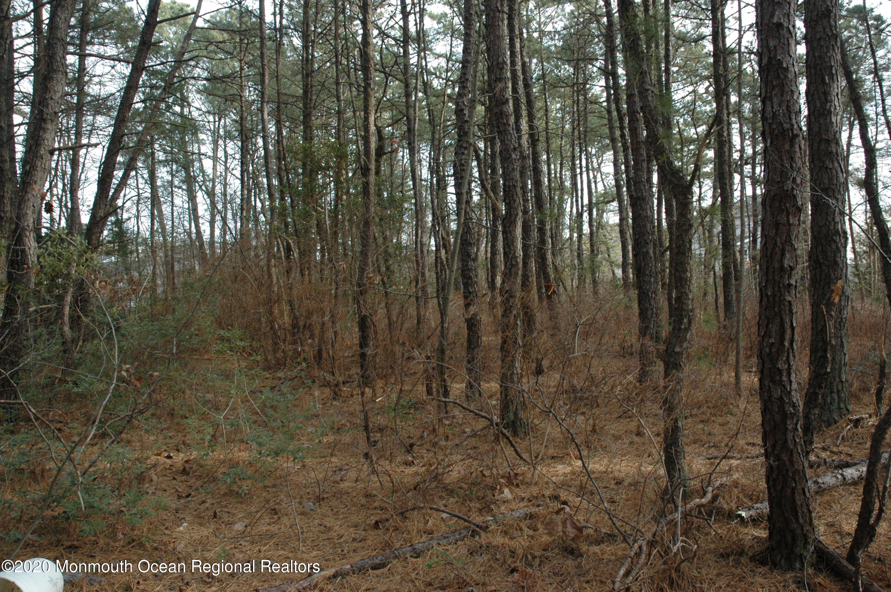 0 E Street Brick, NJ 08723 - Photo 3 of 4 DSC_9259