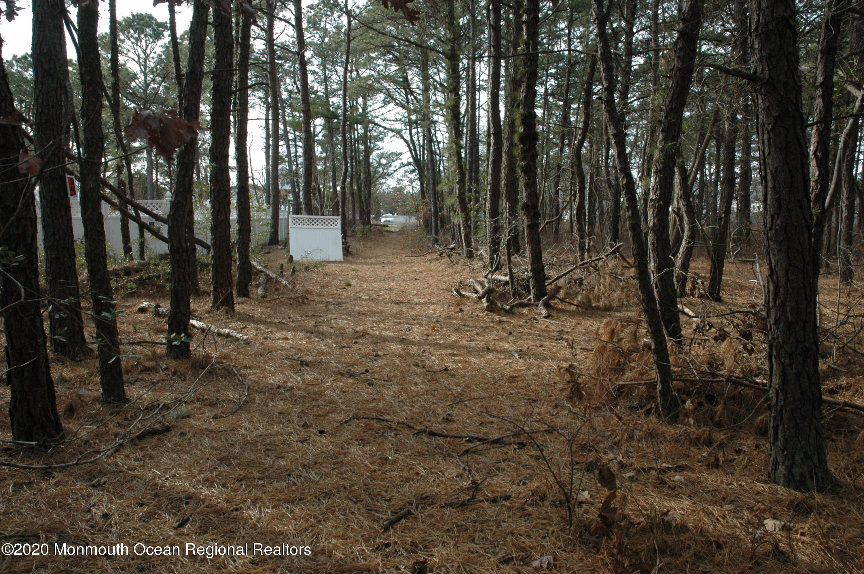 0 E Street Brick, NJ 08723 - Photo 4 of 4 DSC_9260