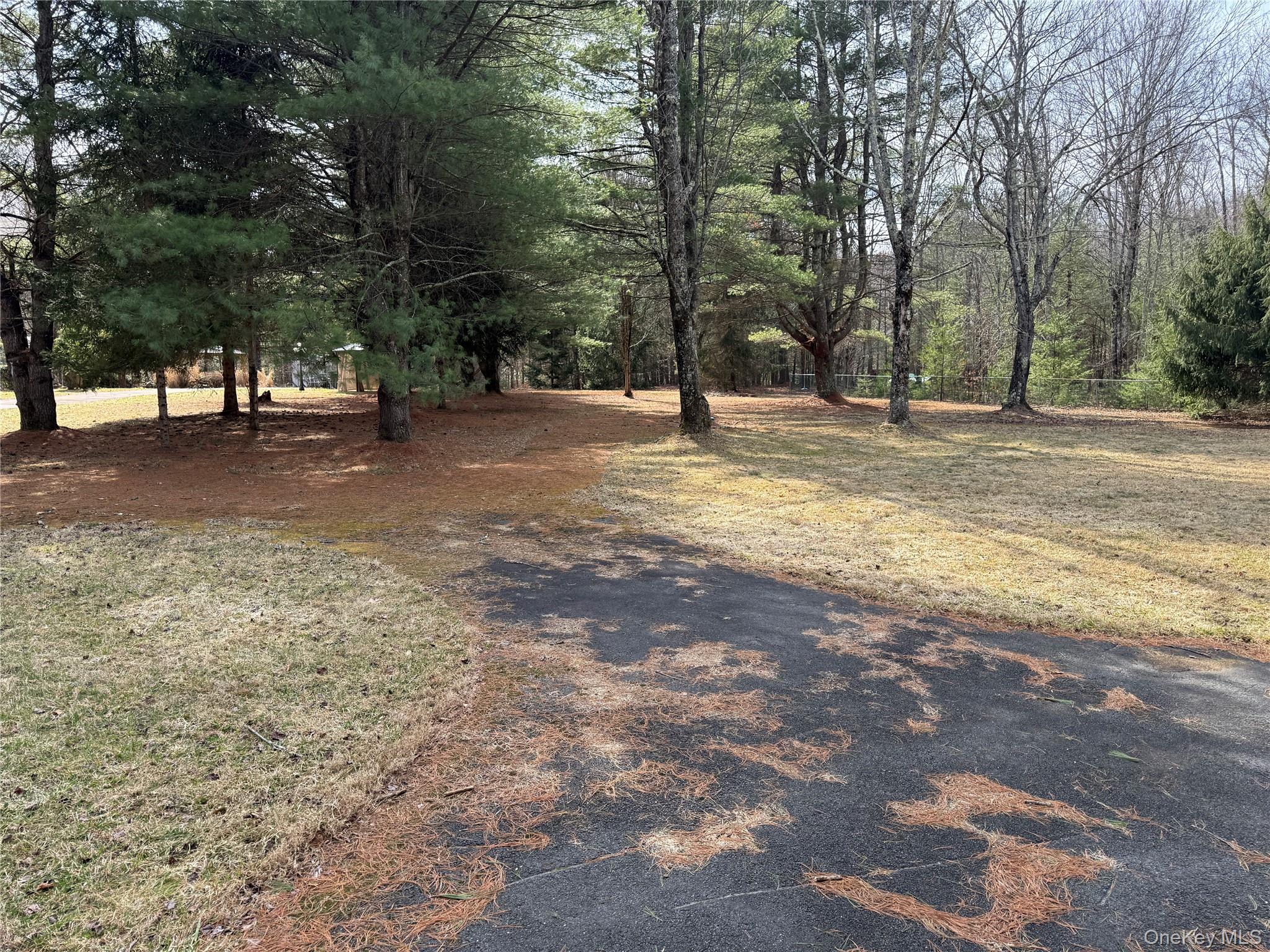1441 Ulster Heights Road Ellenville, NY 12428 - Photo 34 of 35 a view of outdoor space with trees
