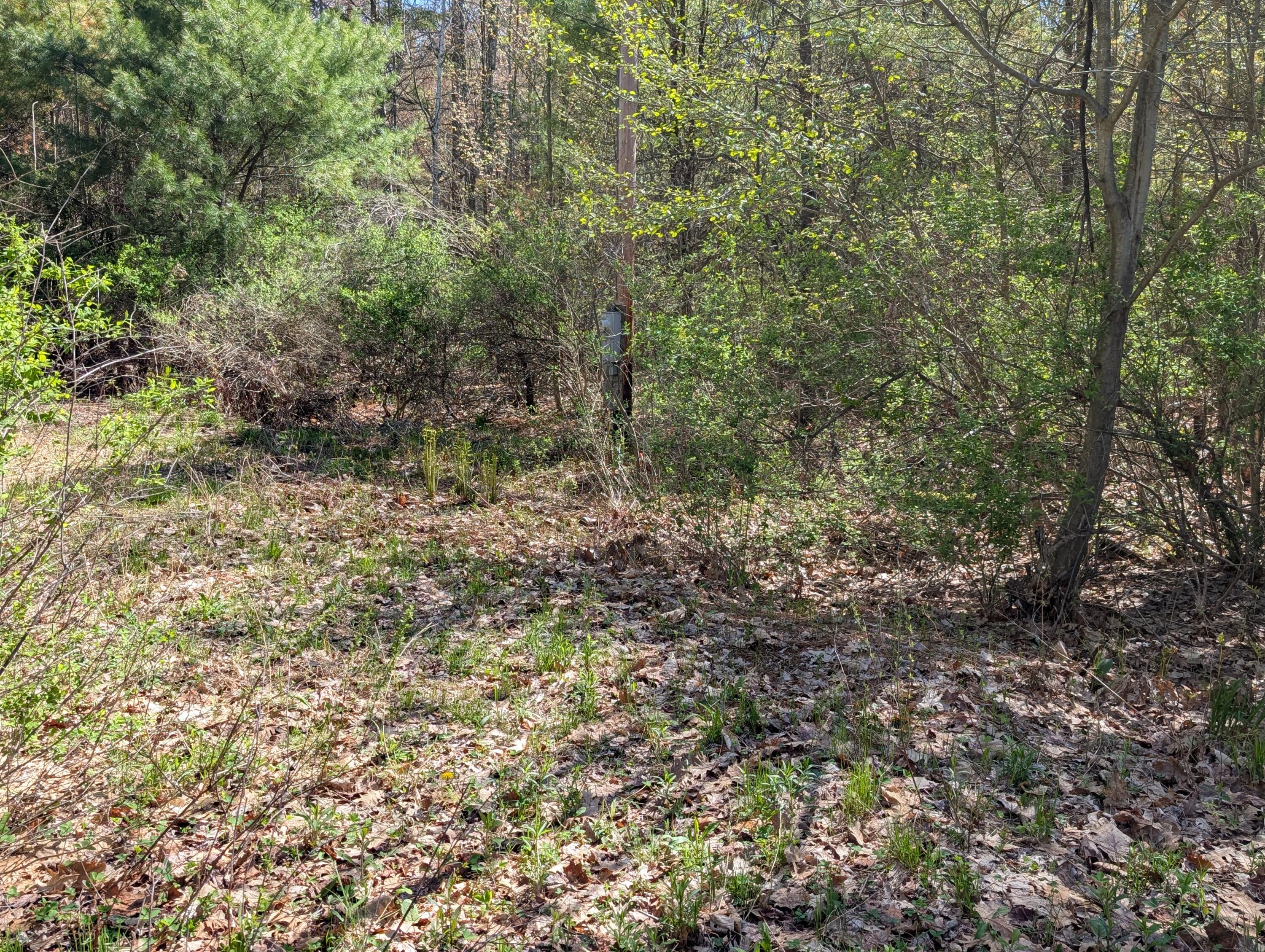 35 McAllister Road Otisfield, ME 04270 - Photo 4 of 7 08