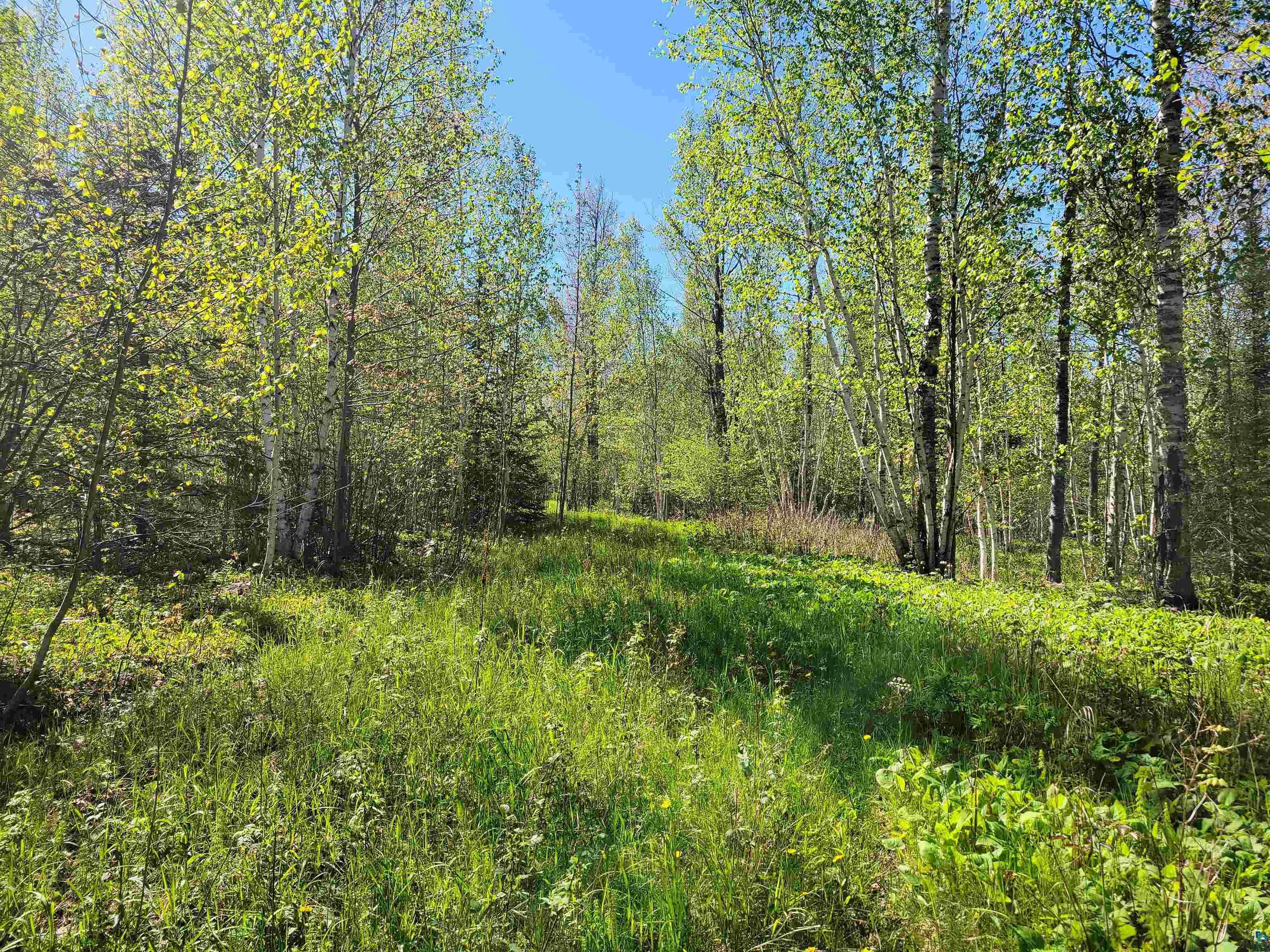 Xxx Bark Point Road Herbster, WI 54844 - Photo 2 of 8 Gallery Image 2