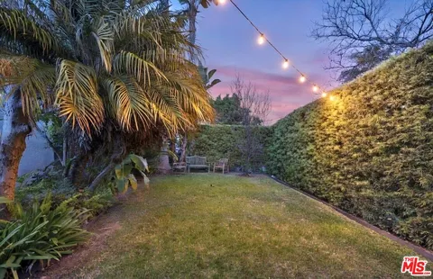 a view of a yard with a tree