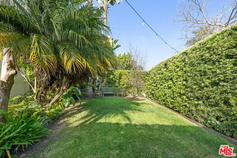 a view of yard