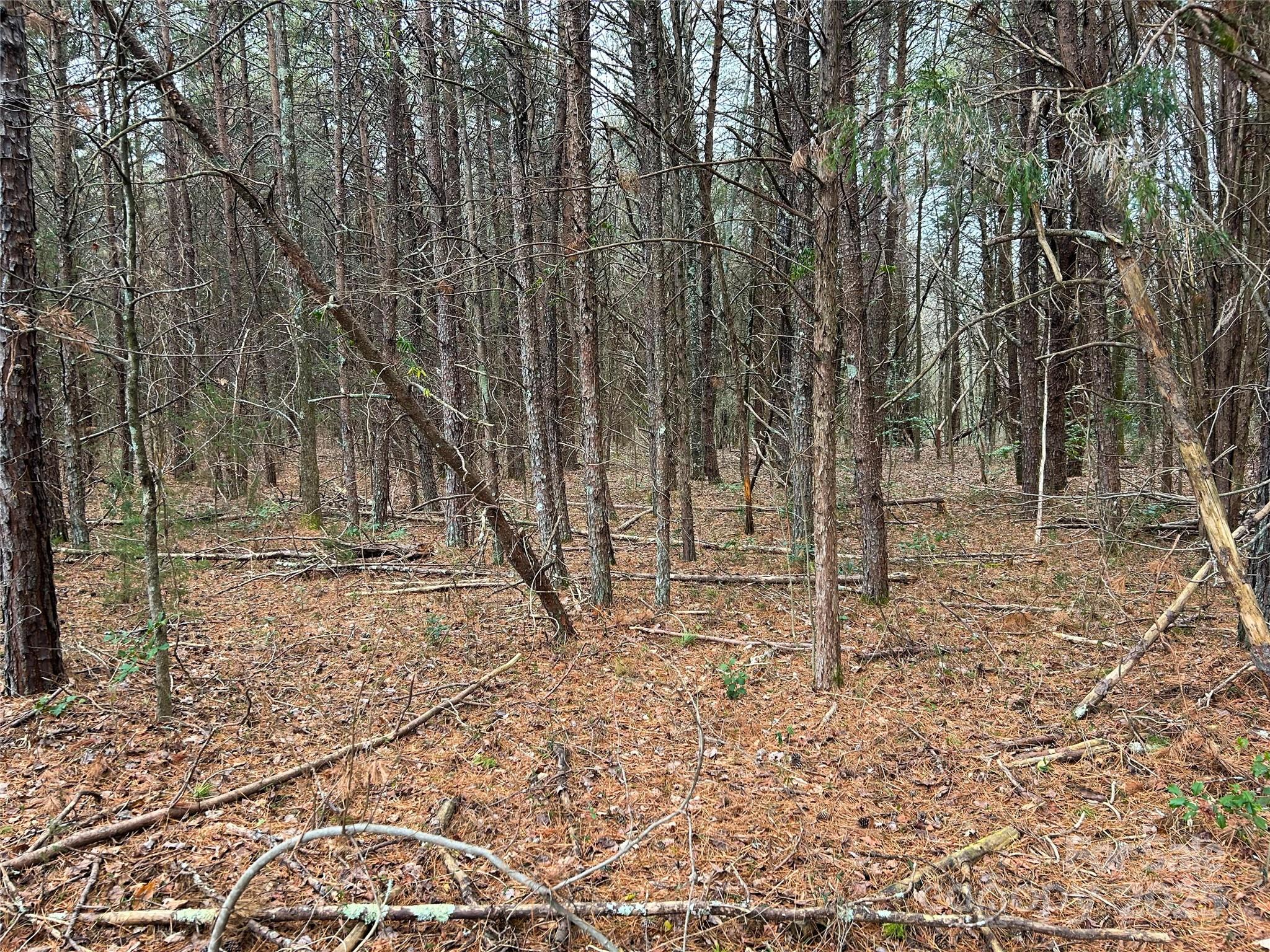 0 Smith Farm Road Lincolnton, NC 28092 - Photo 11 of 12