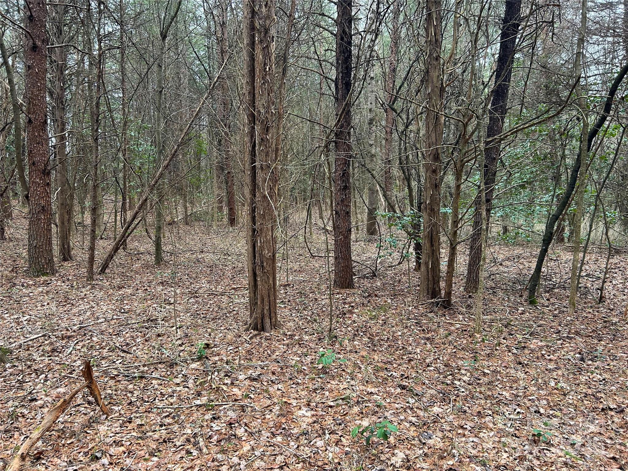 0 Smith Farm Road Lincolnton, NC 28092 - Photo 12 of 12