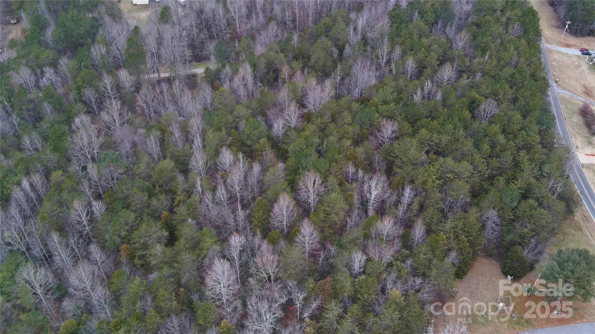 0 Smith Farm Road Lincolnton, NC 28092 - Photo 5 of 12