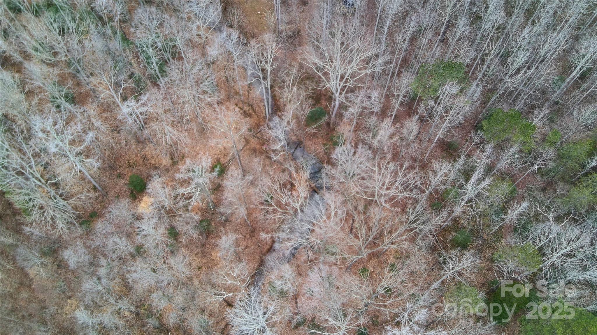 0 Smith Farm Road Lincolnton, NC 28092 - Photo 6 of 12