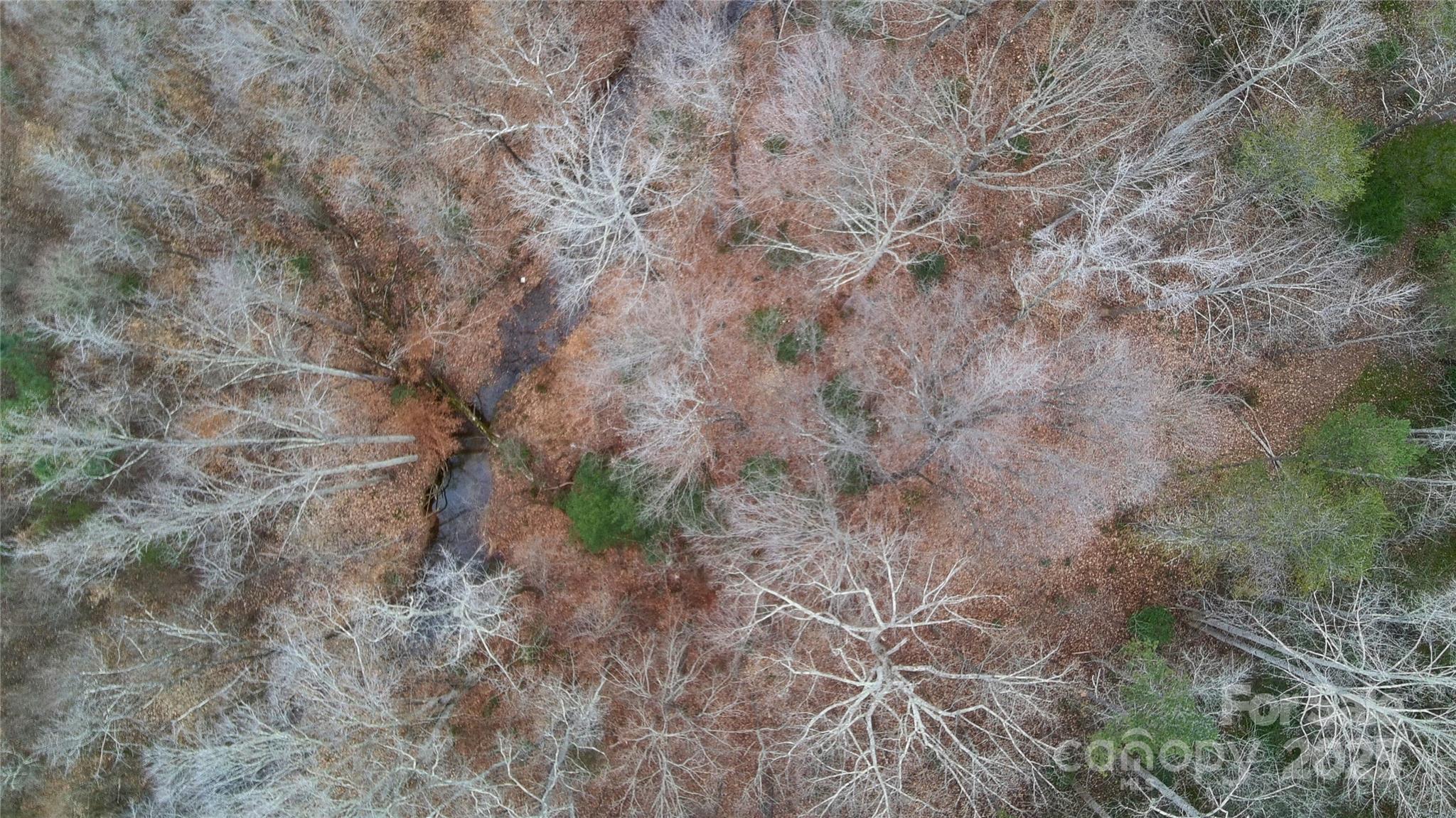 0 Smith Farm Road Lincolnton, NC 28092 - Photo 7 of 12