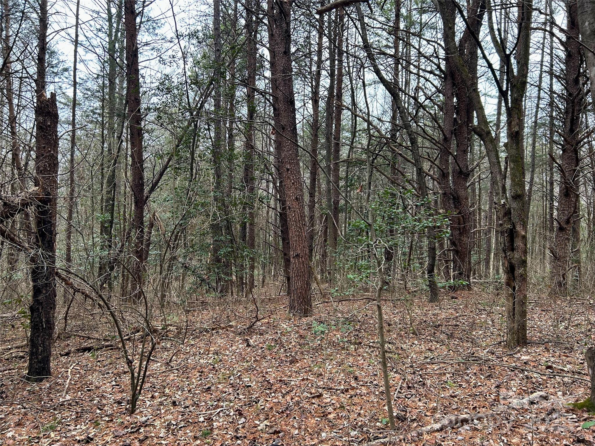 0 Smith Farm Road Lincolnton, NC 28092 - Photo 9 of 12