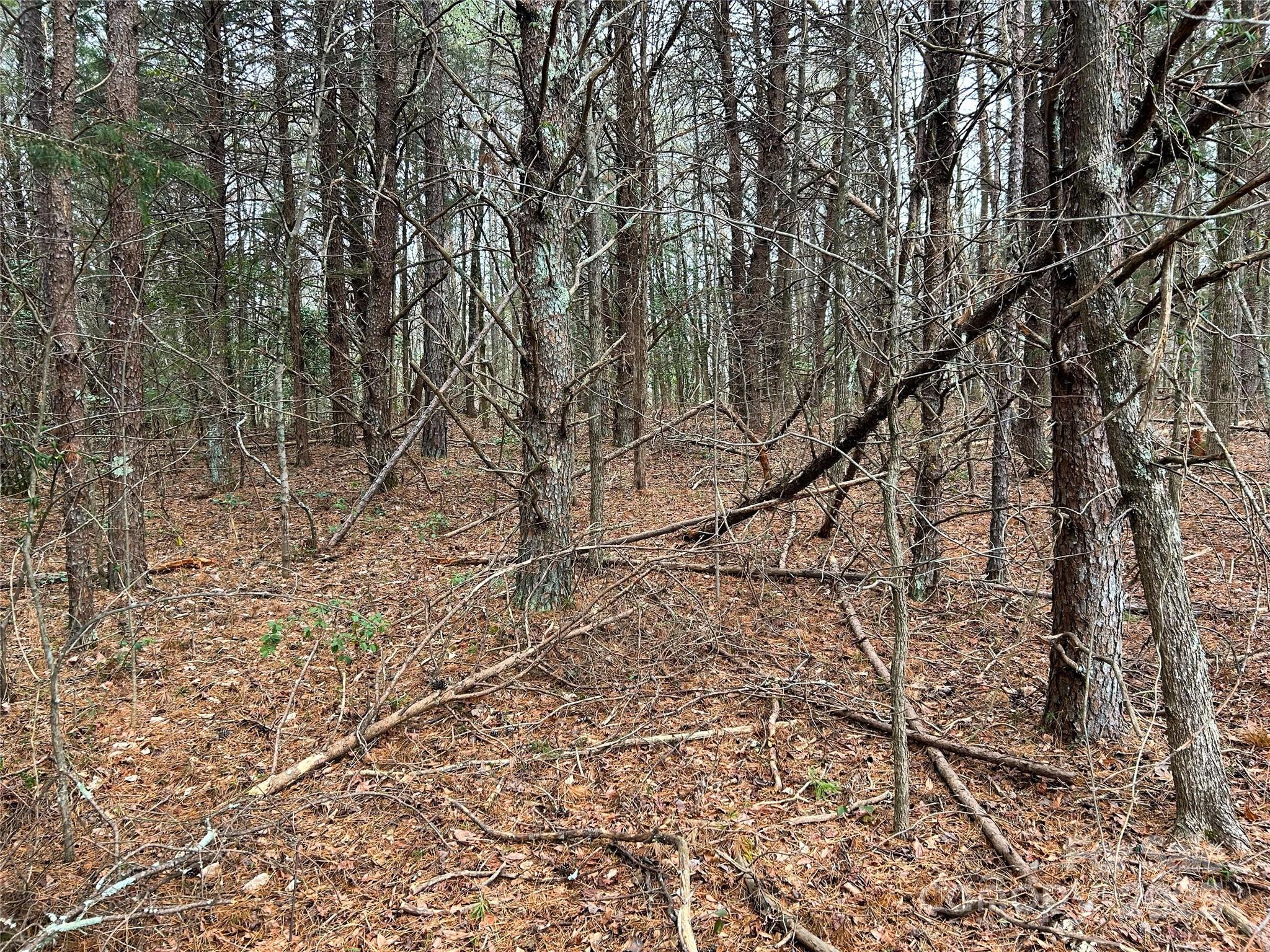 0 Smith Farm Road Lincolnton, NC 28092 - Photo 10 of 12