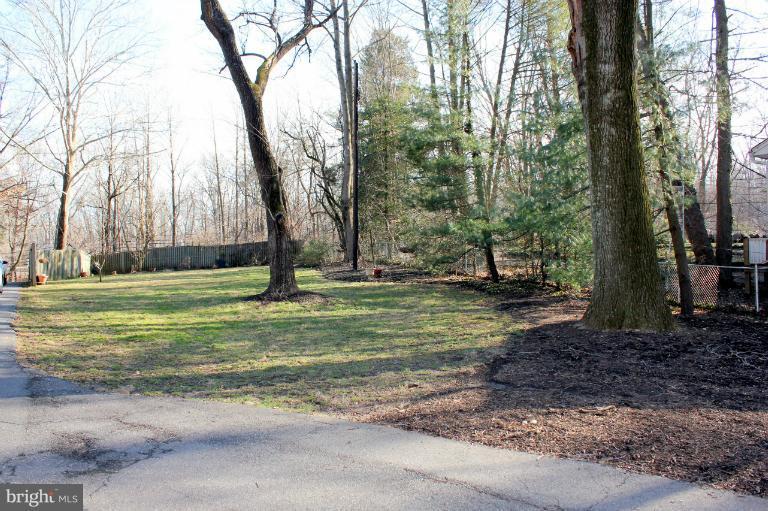 3046 Powder Mill Road Hyattsville, MD 20783 - Photo 17 of 20