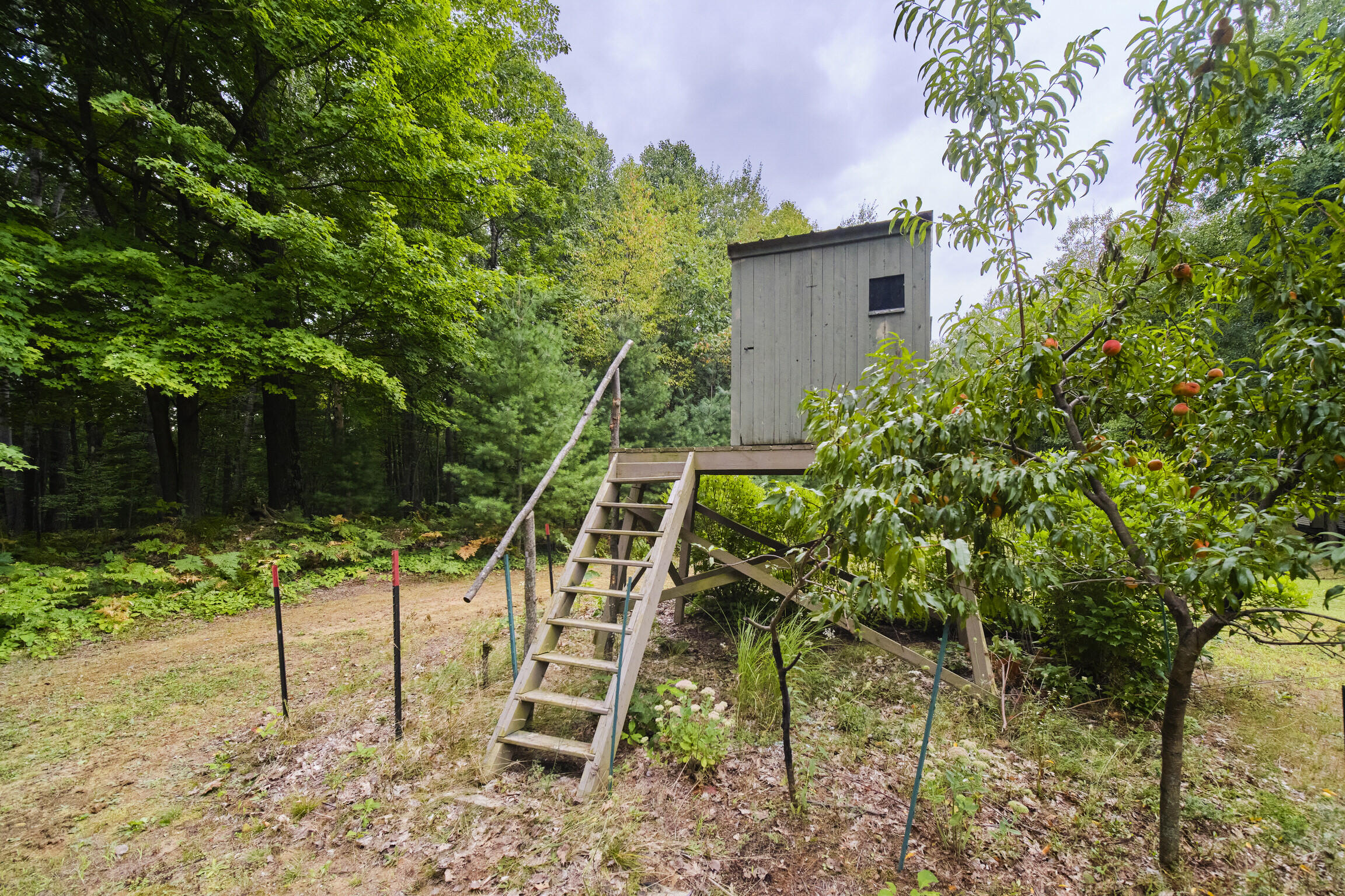 8089 Hunter Ridge Trail Copemish, MI 49625 - Photo 6 of 61 8089 Hunter's Ridge