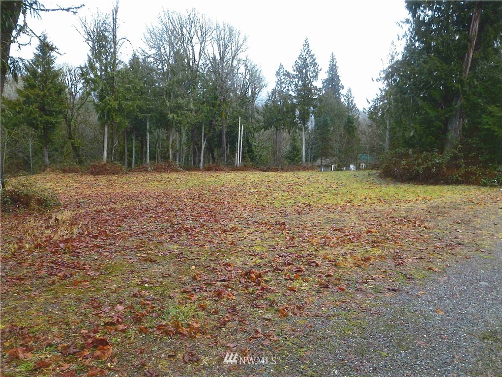 0 Pressentin Ranch Drive Concrete, WA 98237 - Photo 5 of 6 Gallery Image 5