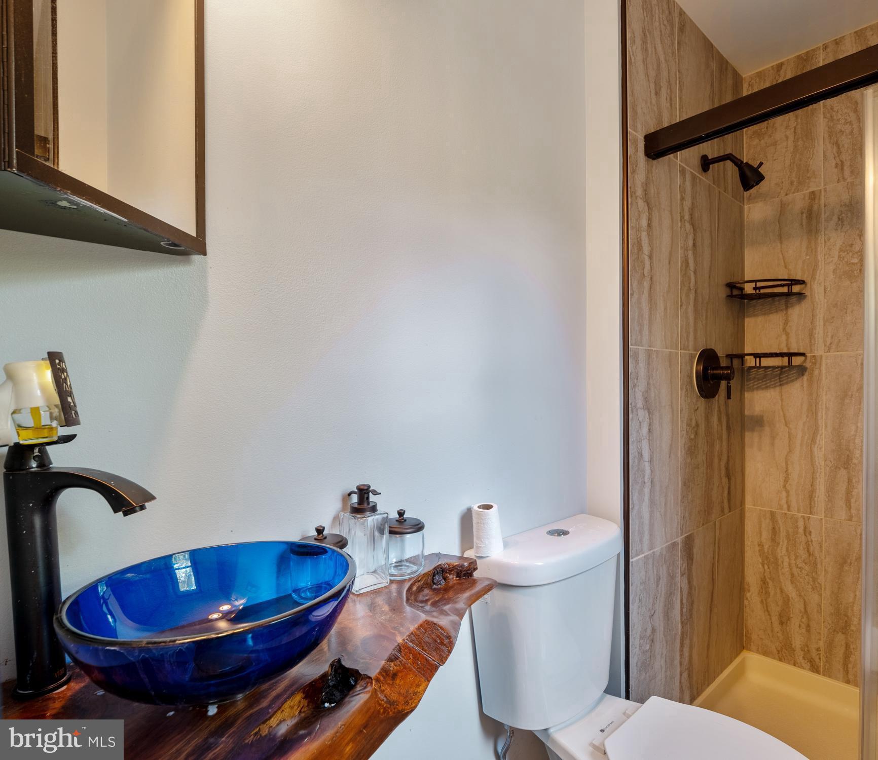 6736 Settlers Ridge Road Warrenton, VA 20187 - Photo 23 of 34 Gallery Image 23