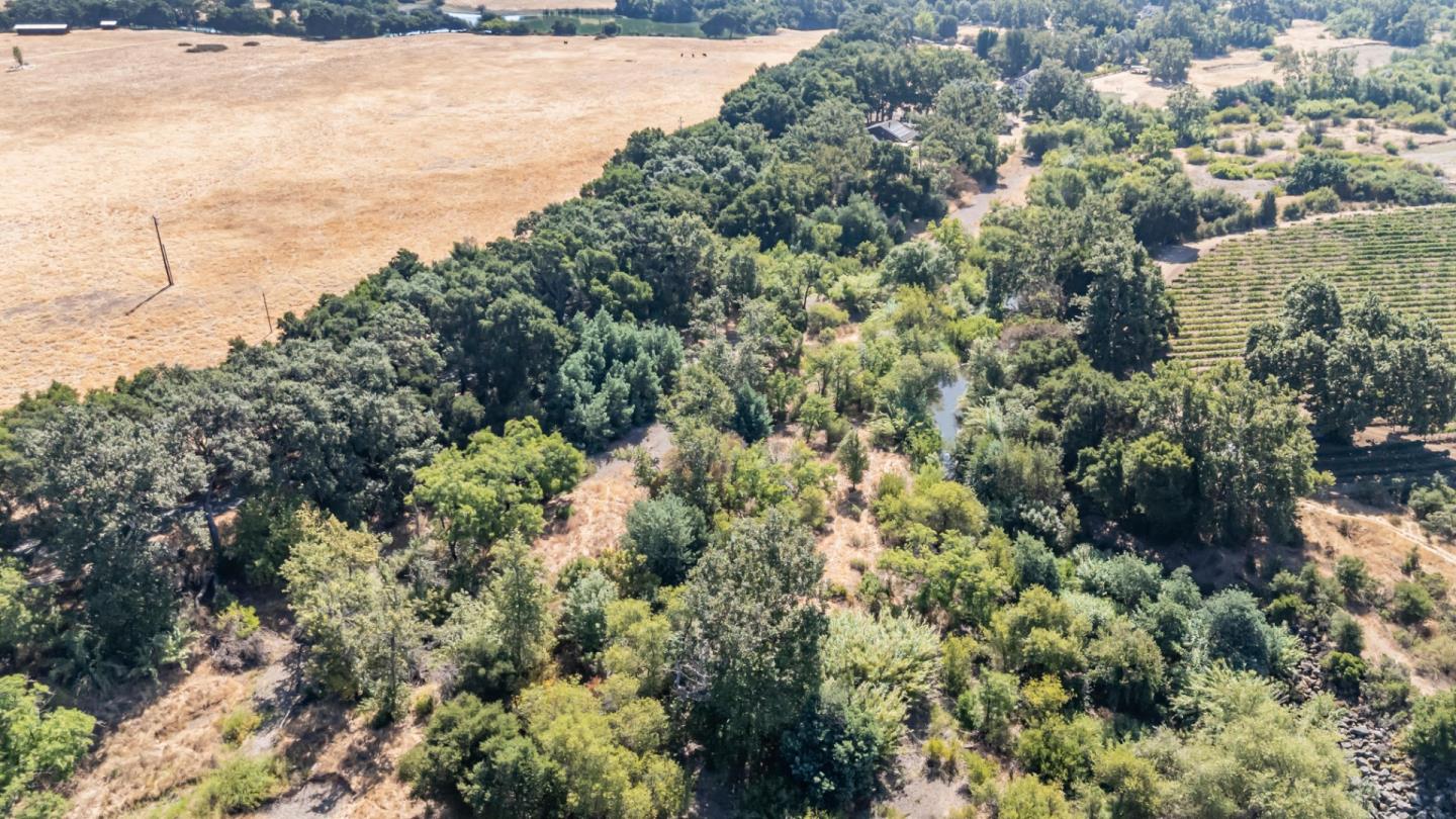 0 Burchell Road Gilroy, CA 95020 - Photo 5 of 18 a view of a bunch of trees and bushes