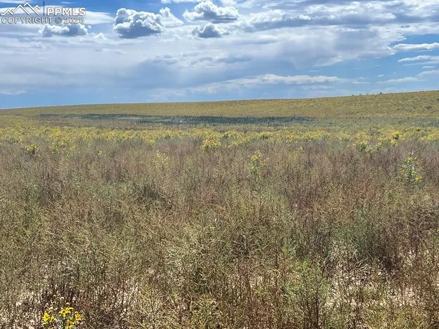 a view of a field with an ocean view