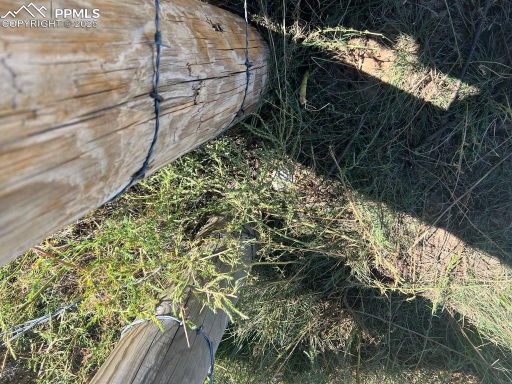 39250 Shear Road Rush, CO 80833 - Photo 31 of 31 a view of a yard with wooden fence