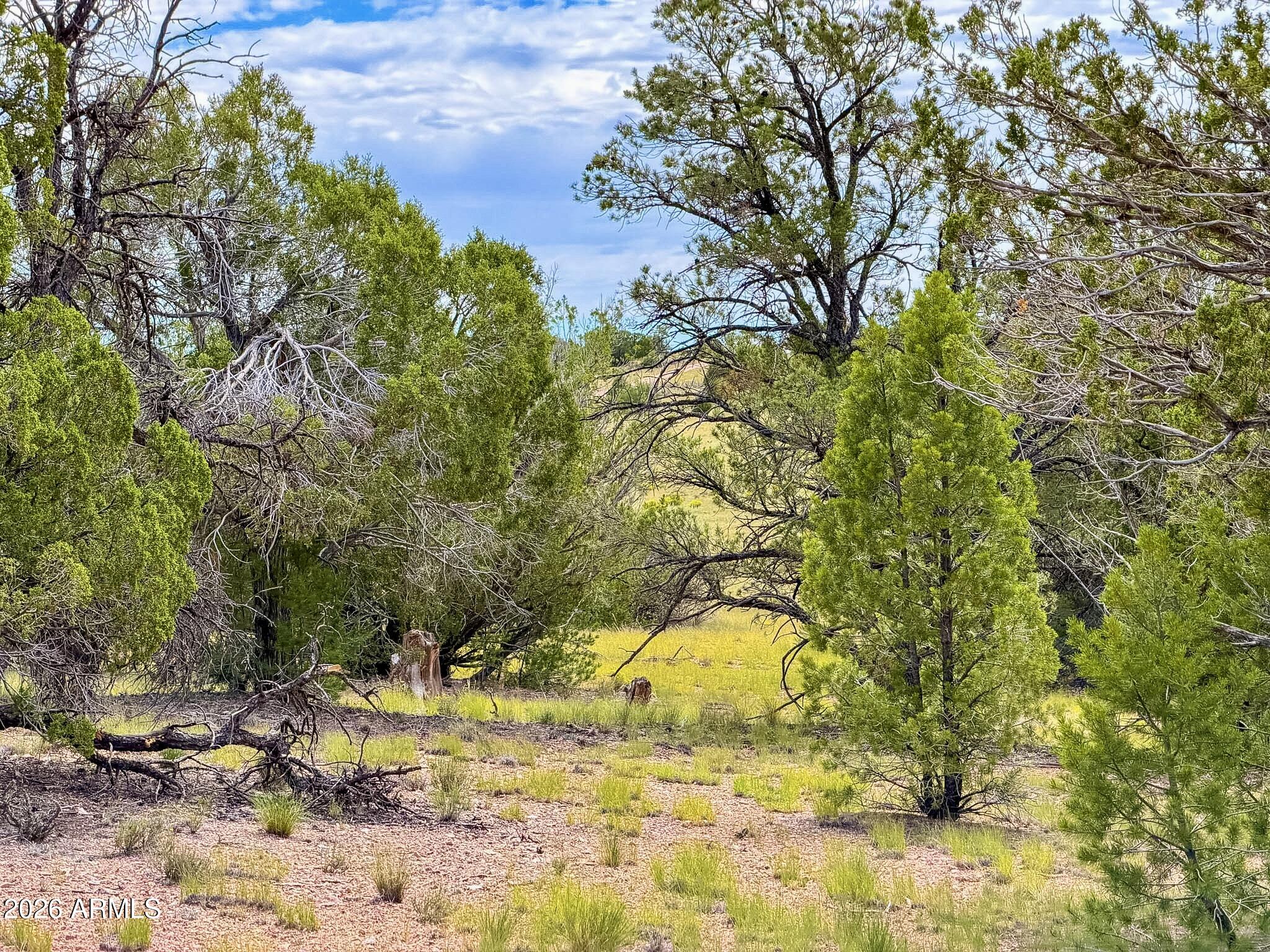 0 Dusty Rose Ranch Seligman, AZ 86337 - Photo 8 of 20 IMG_8144