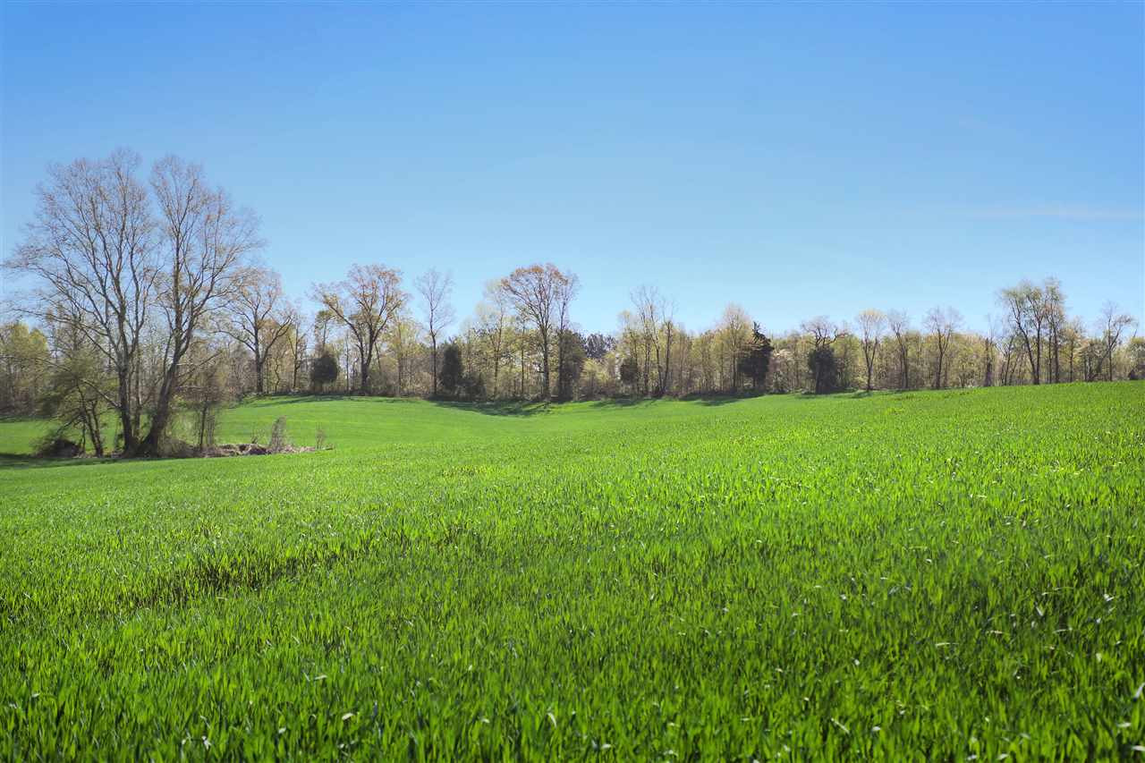 Ernest Paschall Road Dyer, TN 38330 - Photo 1 of 1 Photo 1