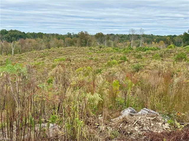 $99,900 | Lot 10 Skeens Mill Road, Trinity, NC 27370