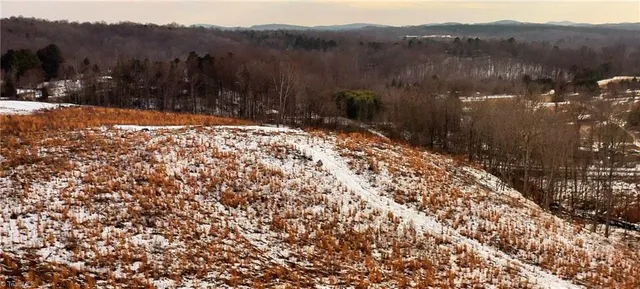 $99,900 | Lot 10 Skeens Mill Road, Trinity, NC 27370