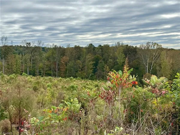 $89,900 | Lot 10 Skeens Mill Road, Trinity, NC 27370