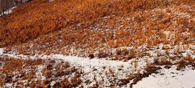 $99,900 | Lot 10 Skeens Mill Road, Trinity, NC 27370