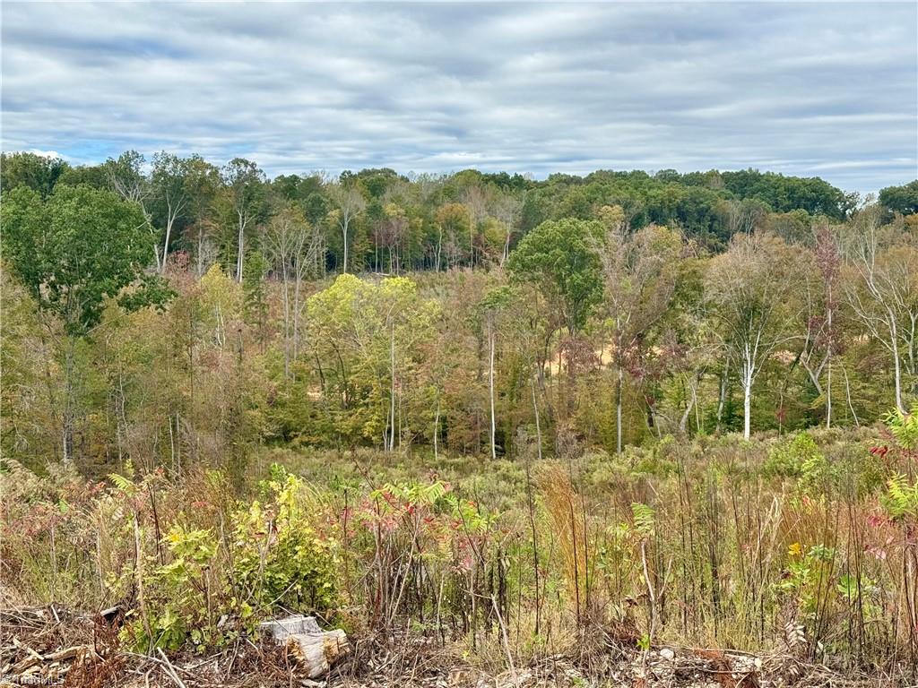Lot 10 Skeens Mill Road Trinity, NC 27370 - Photo 18 of 26