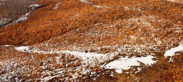 $89,900 | Lot 10 Skeens Mill Road, Trinity, NC 27370