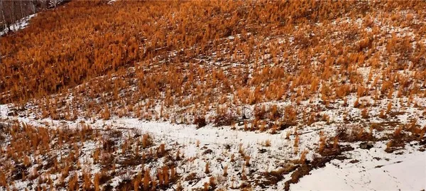 $89,900 | Lot 10 Skeens Mill Road, Trinity, NC 27370