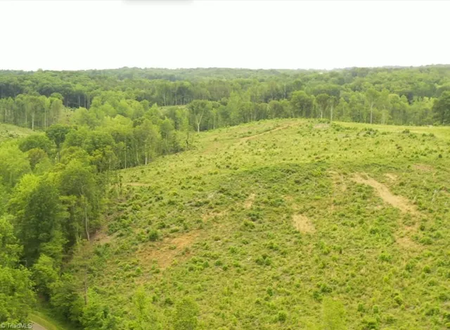 $109,900 | Lot 10 Skeens Mill Road, Trinity, NC 27370