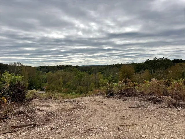 $109,900 | Lot 10 Skeens Mill Road, Trinity, NC 27370