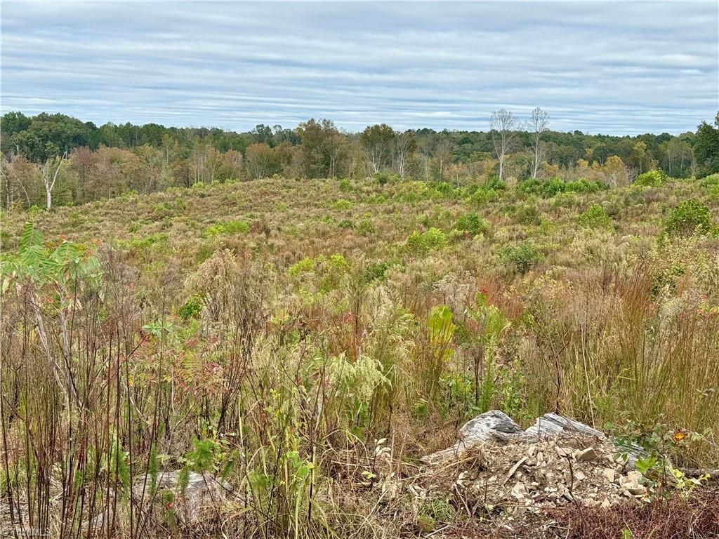 Lot 10 Skeens Mill Road Trinity, NC 27370 - Photo 5 of 26
